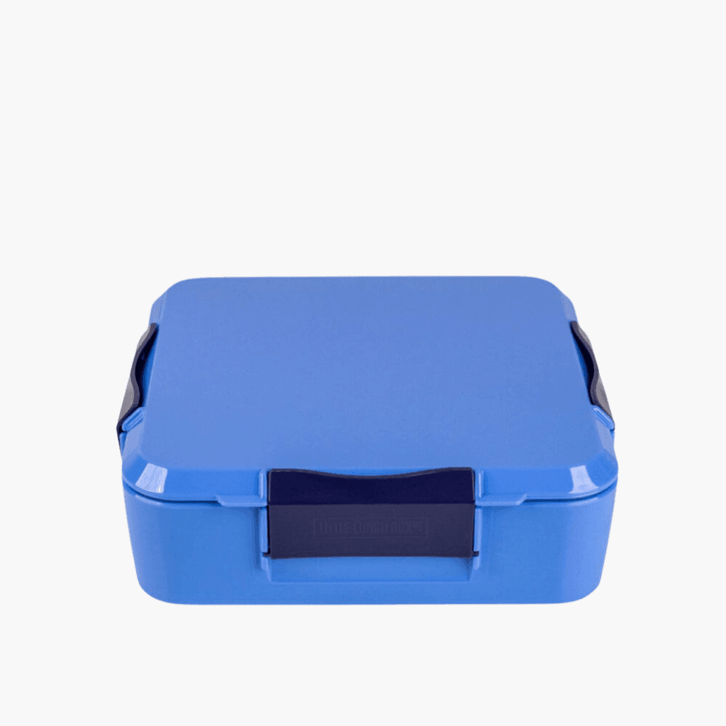 MONTII.CO Bento Plus | Blueberry-1954803116885020672
