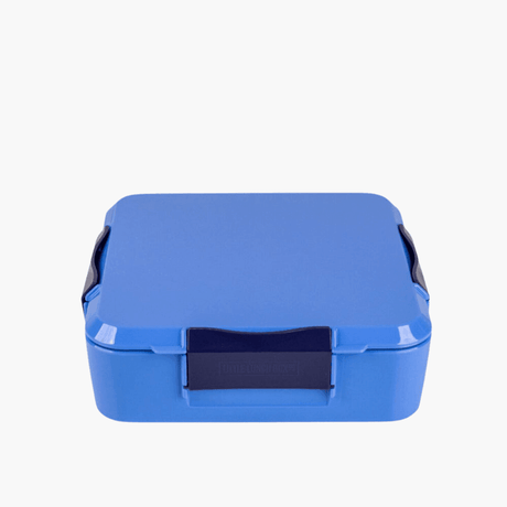 MONTII.CO Bento Plus | Blueberry-1954803116885020672
