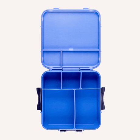 MONTII.CO Bento Plus | Blueberry-2006733451415392257