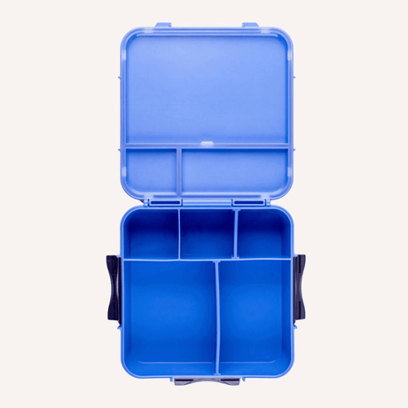 MONTII.CO Bento Plus | Blueberry-1954803116885020673