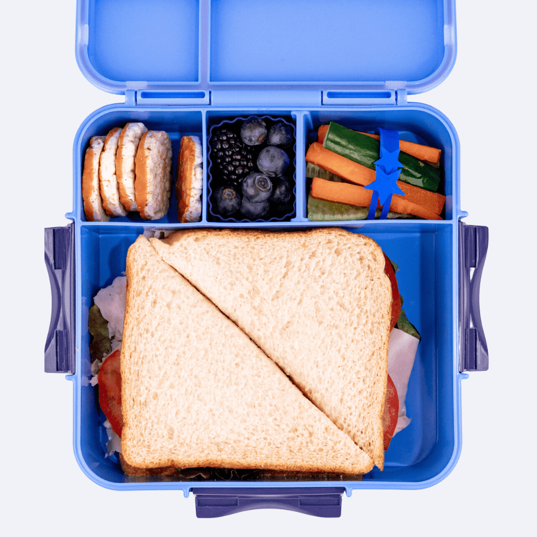 MONTII.CO Bento Plus | Blueberry-1954803116885020674