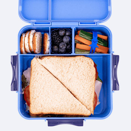 MONTII.CO Bento Plus | Blueberry-1954803116885020674
