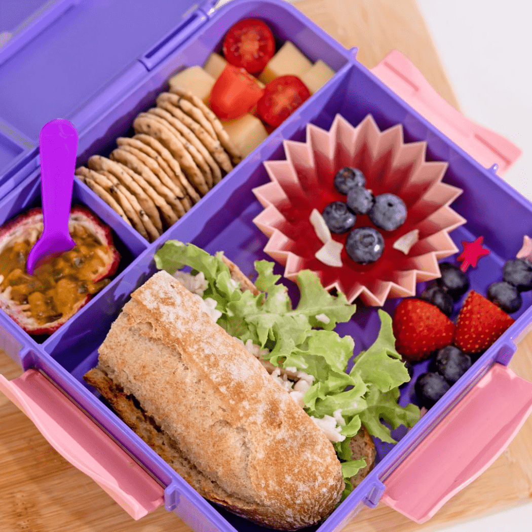 MONTII.CO Bento Plus | Grape-2006733451826434051