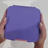 MONTII.CO Little Lunch Box Co | Bento Three -Grape - Low Angle
