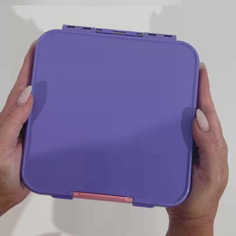 MONTII.CO Little Lunch Box Co | Bento Three -Grape-1954803048014549000
