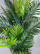 Multi Trunk Hawaii Palm 180cm - Side View