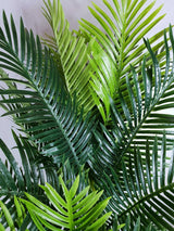 Multi Trunk Hawaii Palm 180cm - Top-Down View