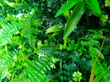WILD TROPICS UV STABILISED 1m x 1m - Top-Down View