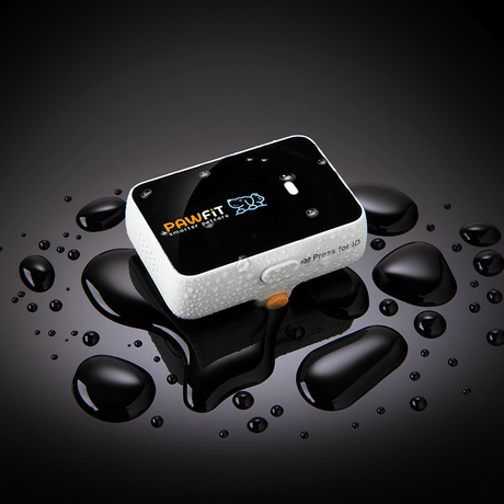 Pawfit 3 Tracker-1869883041959251969