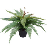 Artificial Potted Fishtail Fern 55cm - Front View