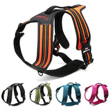 True Love Heavy Duty Sports Dog Harness - Orange, L