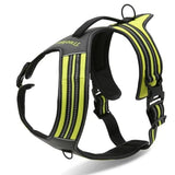 True Love Heavy Duty Sports Dog Harness - Neon Yellow, XL - Side View