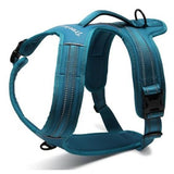 True Love Heavy Duty Sports Dog Harness - Blue, XS - Side View