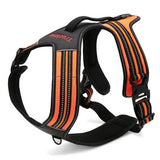 True Love Heavy Duty Sports Dog Harness - Orange, L - Side View