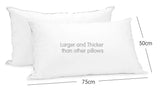 Duck Down Feather Pillow Twin Set - 1.3kg