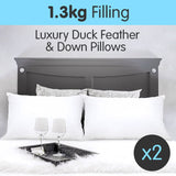 Duck Down Feather Pillow Twin Set - 1.3kg - Front View