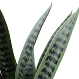 Artificial Snake Plant UV Resistant 60cm - Side View