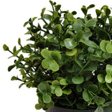 Small Potted Artificial Buxus Plant UV Resistant 20cm - Front View
