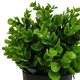 Small Potted Artificial Peperomia Plant UV Resistant 20cm - Front View