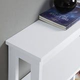 Sarantino Julian Console Table in White - Rear View