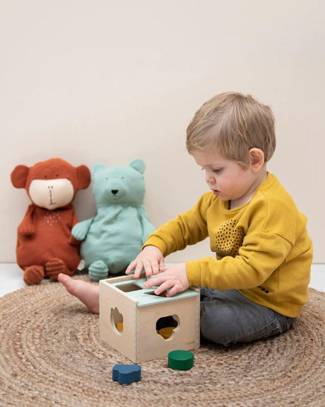 Trixie Wooden Shape Sorter-1963748917053100036