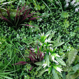 Vista Green Vertical Garden Green Wall UV Resistant 100cm x 100cm - Rear View