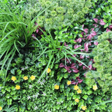 Country Fern Vertical Garden Green Wall UV Resistant 100cm x 100cm - Side View