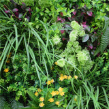 Country Fern Vertical Garden Green Wall UV Resistant 100cm x 100cm - Rear View