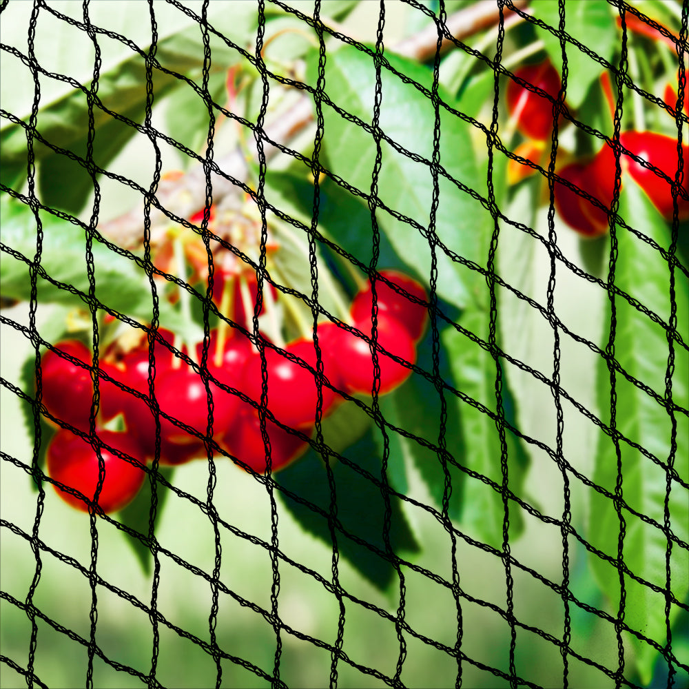 Heavy-Duty Black Nylon Bird Netting - 10m x 20m Anti-Bird Solution