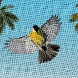 Heavy-Duty 10x30m Instahut Bird Netting - Ultimate Pest Protection for Your Fruit Trees - Low Angle