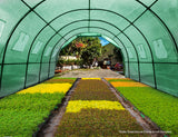 High-Durability Greenhouse Cover for Greenfingers 3x2x2m Garden Shed - Top-Down View