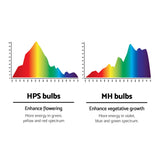 600W Hydroponic Grow Light System with Magnetic Ballast and Reflector for Indoor Plant Growth - Top-Down View