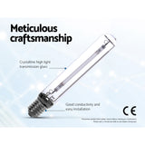 600W Hydroponic Grow Light System with Magnetic Ballast and Reflector for Indoor Plant Growth - Rear View