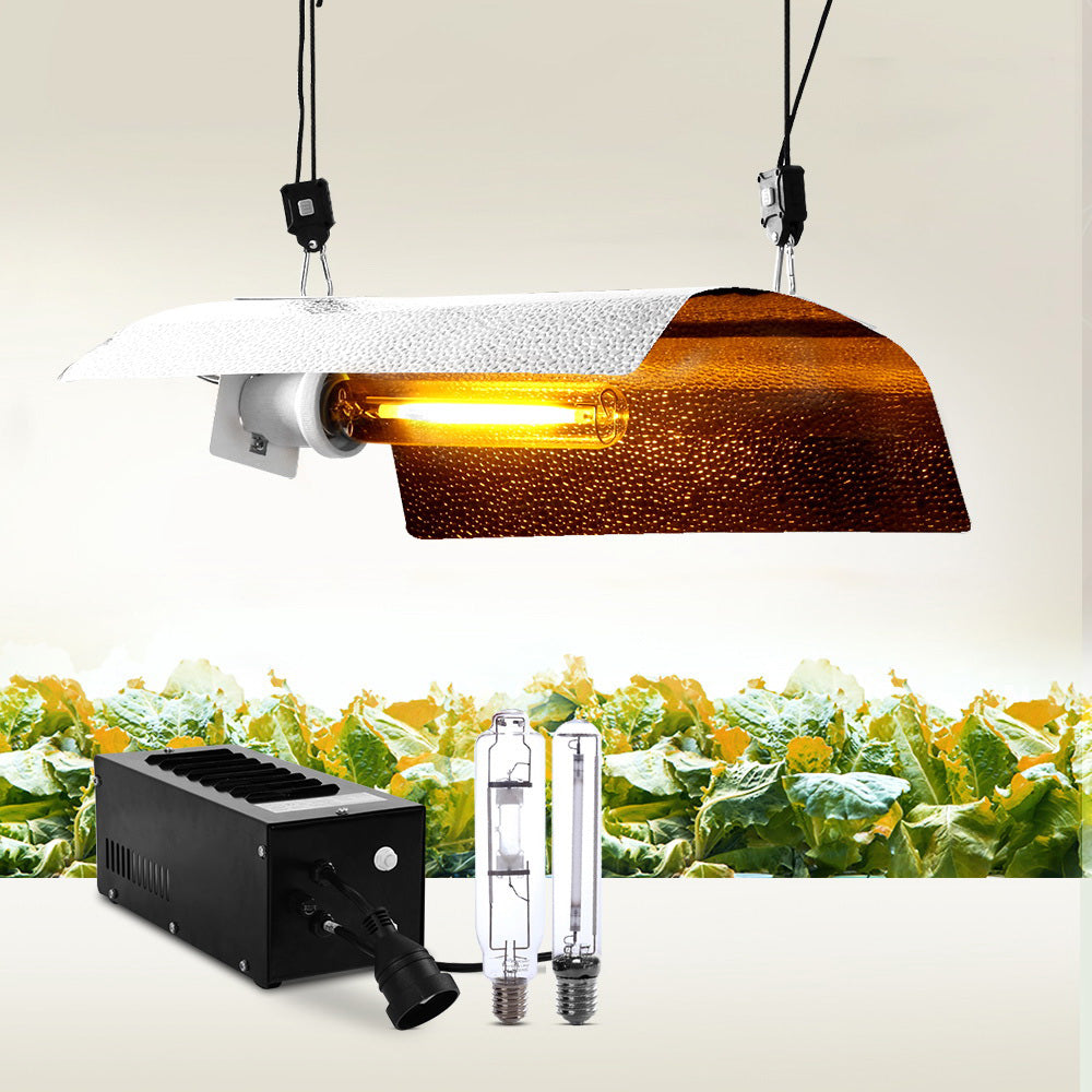 600W Hydroponic Grow Light System with Magnetic Ballast and Reflector for Indoor Plant Growth
