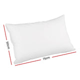 Plush Goose Feather Down Twin Pillows Set - Front View