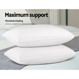 Plush Goose Feather Down Twin Pillows Set - 45-Degree Angle