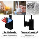 Modern Black 360° Swivel Kitchen Faucet with Leak-Proof Technology - Rear View
