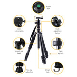 2-in-1 Versatile Camera Tripod and Monopod with Ball Head for DSLR - Top-Down View