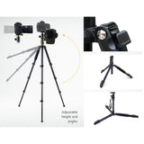 2-in-1 Versatile Camera Tripod and Monopod with Ball Head for DSLR - 45-Degree Angle