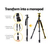 2-in-1 Versatile Camera Tripod and Monopod with Ball Head for DSLR - Rear View