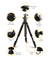 173cm Professional Magnesium Alloy Tripod with Smooth Ball Head for Digital Cameras and Camcorders - Top-Down View