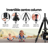 173cm Professional Magnesium Alloy Tripod with Smooth Ball Head for Digital Cameras and Camcorders - Rear View