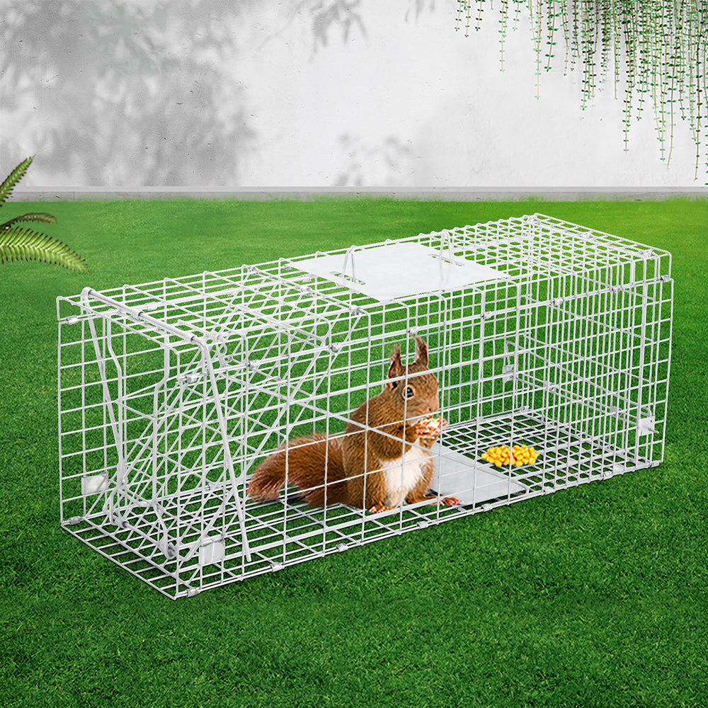Large Silver Humane Animal Capture Cage - 66 x 23 x 25cm