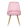 Artiss Set of 2 Dining Chairs Retro Chair Cafe Kitchen Modern Iron Legs Velvet Pink