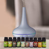 Milano Aroma Diffuser Set With 10 Pack Oils Humidifier Aromatherapy Matt Grey