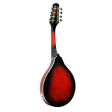 Karrera Premium 8-String Electric Mandolin - Front View