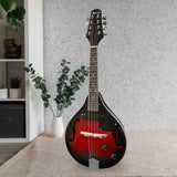 Karrera Premium 8-String Electric Mandolin - Low Angle