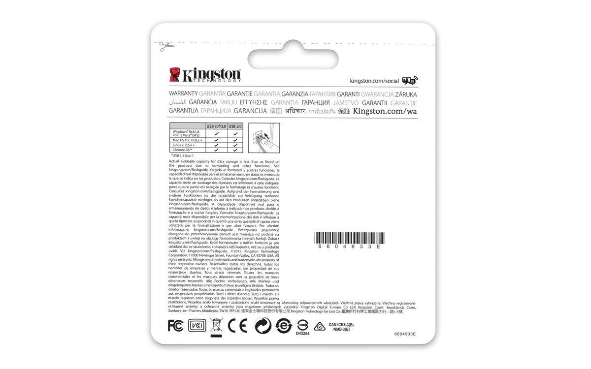 KINGSTON 256GB USB 3.0 DataTraveler 100 G3 Flash Drive with 100MB/s Read Speed