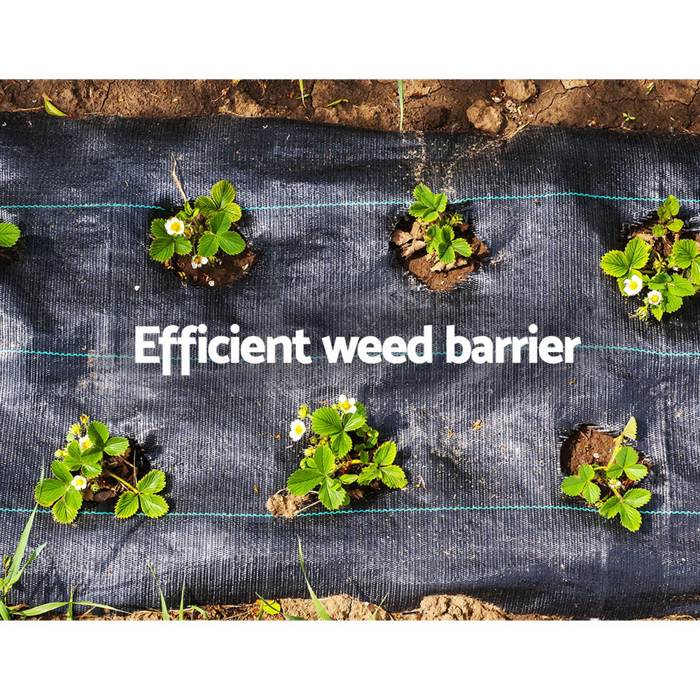 Premium UV-Resistant 0.915m x 50m Weed Control Mat for Effective Gardening and Plant Care
