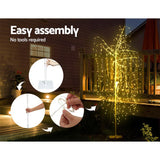Majestic 2.1M LED Willow Christmas Tree with 600 Warm White Lights - Rear View